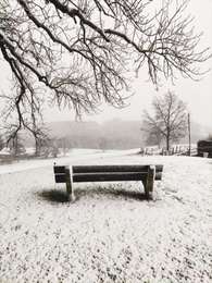 Trail Walking Lierneux - Promenade sur les hauteurs enneigées de Lierneux  - Photo