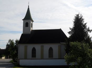 Trail On foot Gemeinde Natschbach-Loipersbach - Rundwanderwege Natschbach - Loipersbach - Lindgrub L1 - Photo