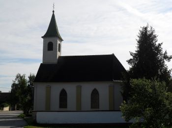 Randonnée A pied Gemeinde Natschbach-Loipersbach - Rundwanderwege Natschbach - Loipersbach - Lindgrub L1 - Photo