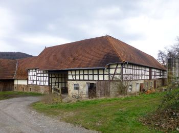 Percorso A piedi Reichelsheim (Odenwald) - Rundwanderweg Reichelsheim Totenkirche 4: Panorama-Weg - Photo