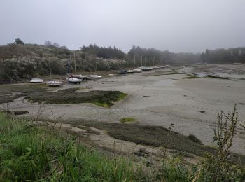 Tour Wandern Saint-Coulomb - 2024-03-21 pointe meinga, ile Besnard  - Photo