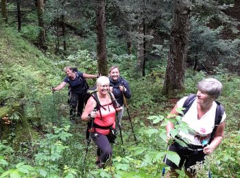 Tour Wandern Corbonod - GRAND COLOMBIER: SUR LYAND - CHARBEMENES PAR LES CRETES - ARVIERES par la 