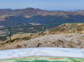 Tocht Stappen Laveissière - SityTrail - TABAZE Plomb du Cantal - Photo