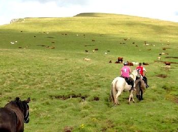 Excursión Caballo Albepierre-Bredons - TDV-Prat de Bouc-Chalinargues-1 - Photo