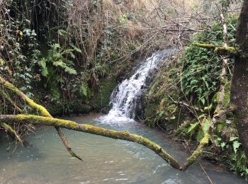 Tour Wandern Saint-Georges-les-Bains - St Georges  - Photo