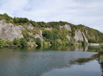 Percorso Mountainbike Yvoir - GODINNE ... par Roquebrune, la Sibérie et les Tiennes de Rouillon. - Photo