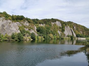 Randonnée V.T.T. Yvoir - GODINNE ... par Roquebrune, la Sibérie et les Tiennes de Rouillon. - Photo