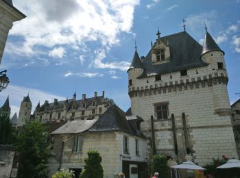 Randonnée Marche Chambourg-sur-Indre - Chambourg-sur-Indre - l'Isle Auger Loches GR46 - 26.7km 325m 5h40 (30mn) - 2021 07 24 - Photo