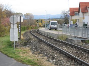 Tocht Te voet Gemeinde Willendorf - Willendorf - Greith - Photo