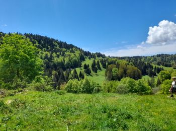 Tocht Stappen Montcel - MASSIF DES BAUGES: PLATEAU DU REVARD AUTOUR DE LA CROIX DES BERGERS - Photo