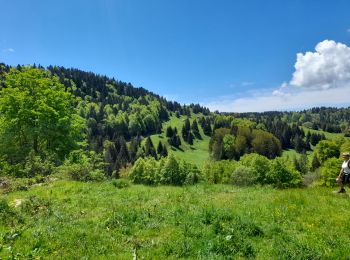 Tour Wandern Montcel - MASSIF DES BAUGES: PLATEAU DU REVARD AUTOUR DE LA CROIX DES BERGERS - Photo