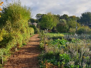 Trail Walking Ottignies-Louvain-la-Neuve - LLN Undercover - Photo