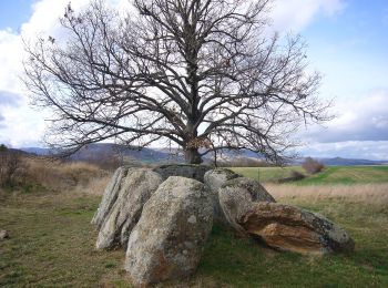 Percorso A piedi Saint-Gervazy - Les Chaux - Photo