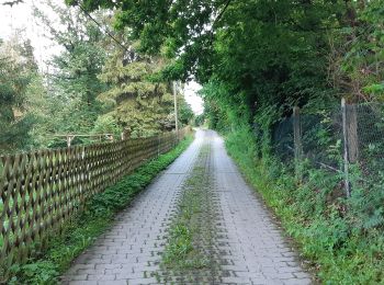 Tour Zu Fuß  - Rundweg um Erfenschlag - Photo