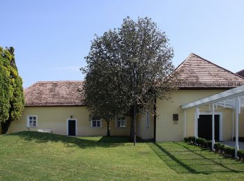 Tocht Te voet Siegendorf/Cindrof - Naturweg-Tour (Vital-Parcours Siegendorf) - Photo