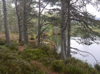 Excursión A pie  - Farleitter Crag Trail - Photo