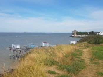 Tocht Elektrische fiets Saint-Georges-de-Didonne - 2019.07.11-34.9km-Catalpas St.Georges Meschers Talmont puis retour Catalpas - Photo