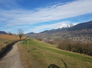 Excursión Senderismo Brié-et-Angonnes - Les Crêtes d'Herbeys - Photo