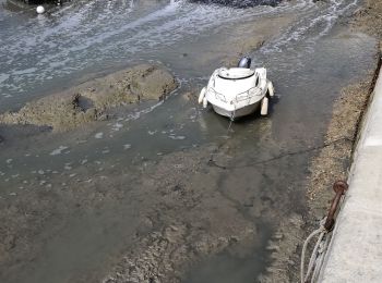 Tour Radtourismus  Saint-Martin-de-Ré - Île de ré - Photo