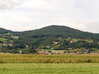 Trail On foot Hartberg Umgebung - Drehscheibenweg (W2) - Photo