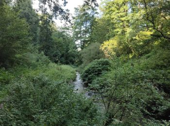 Randonnée Marche Hombourg-Haut - Boucle au dessus de Hombourg - Haut  - Photo