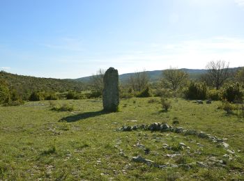 Excursión A pie Blandas - Les mégalithes du Causse de Blandas - Photo