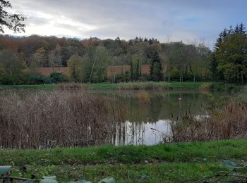 Trail Walking Lay-Saint-Christophe - Lay Saint Christophe  - Photo