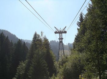 Percorso A piedi Sconosciuto - Cristian - Drumul lui Lexen - Poiana Brașov - Photo