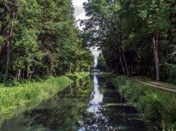 Excursión A pie Sengenthal - Ölkuchenmühle - Kanalschleuse 29 - Photo