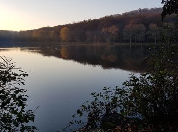 Randonnée Marche Contrexéville - CONTREXEVILLE - LE SENTIER DES 3 LACS - Photo