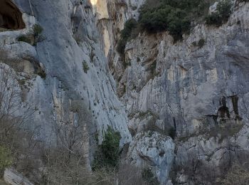 Tour Wandern La Palud-sur-Verdon - verdon - Photo