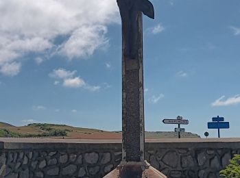 Randonnée Marche Sangatte - sangatte - cap blanc nez via les terres, retour par les falaise - Photo