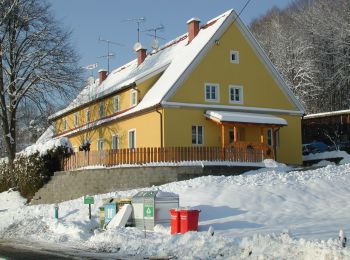 Tocht Te voet Ehrenhausen an der Weinstraße - Ehrenhausen 1 - Photo