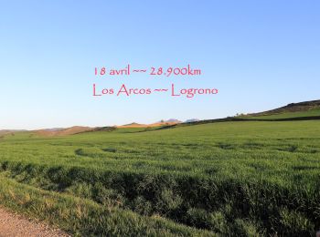 Excursión Senderismo Los Arcos - 18.04.18 Los Arcos-- Logrono - Photo