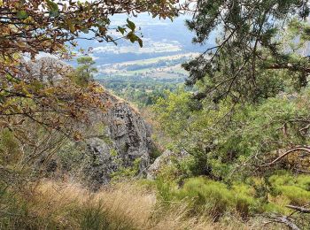 Trail Walking Retournac - madeleine  - Photo