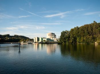 Tocht Te voet Döttingen - Beznau Steg - Döttingen Brücke - Photo