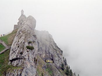 Tocht Te voet Bayrischzell - Wanderweg 660b - Bayrischzell - Wendelsteinalmen - Photo