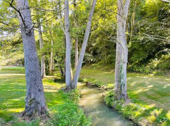 Randonnée Marche Profondeville - La vallée du Burnot à Profondeville (petite) - Photo
