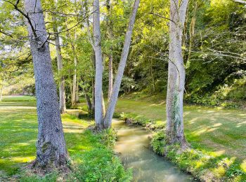 Excursión Senderismo Profondeville - Petite Promenade du Burnot - Photo