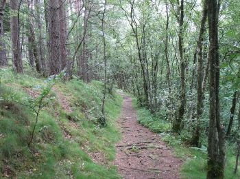 Trail On foot  - Edzell to Rocks of Solitude - Photo