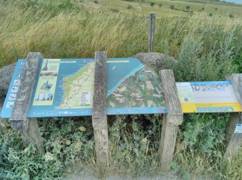 Trail Walking Sangatte - CANI-RANDO TOUR (boucle Cap Blanc nez) - Photo