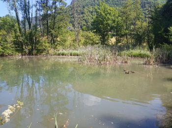 Randonnée Marche Ville-en-Sallaz - 2020-07 Lac du Môle - Saint Jeoire - Photo