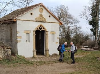 Randonnée Marche Westhalten - Westhalten - Rouffach (23/02/2023) - Photo