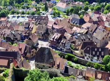 Excursión Senderismo Kaysersberg-Vignoble - 2021-05-30 Marche Kaysersberg Ursprung St Alexis - Photo