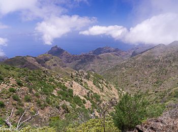 Trail Walking El Tanque - Ejsos - Photo