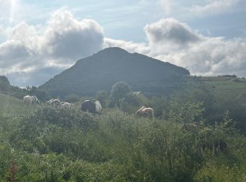 Tocht Paardrijden Ochagavía/Otsagabia - Xxx - Hichiberri Villa Nueva - Photo