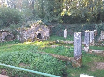 Percorso Marcia Ferrières-les-Bois - Ferrières les bois - Photo