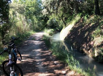 Excursión Bici de montaña Sarrians - Circuit de Sarrians bis - Photo