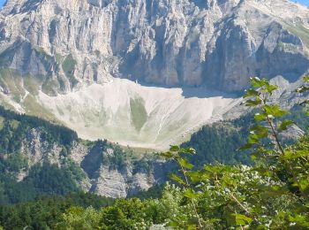 Randonnée Marche Tréminis - Tréminis la grotte de Fétoure depuis la Serre  - Photo