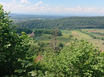 Trail Walking Oberlarg - Oberlag - Photo